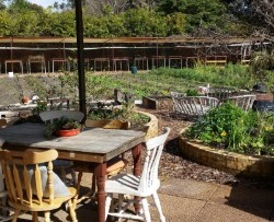 Basics of Backyard Organic Growing 16th September 2018 2pm -4pm